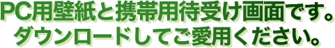 PC用壁紙と携帯用待受け画面です。

ダウンロードしてご愛用ください。